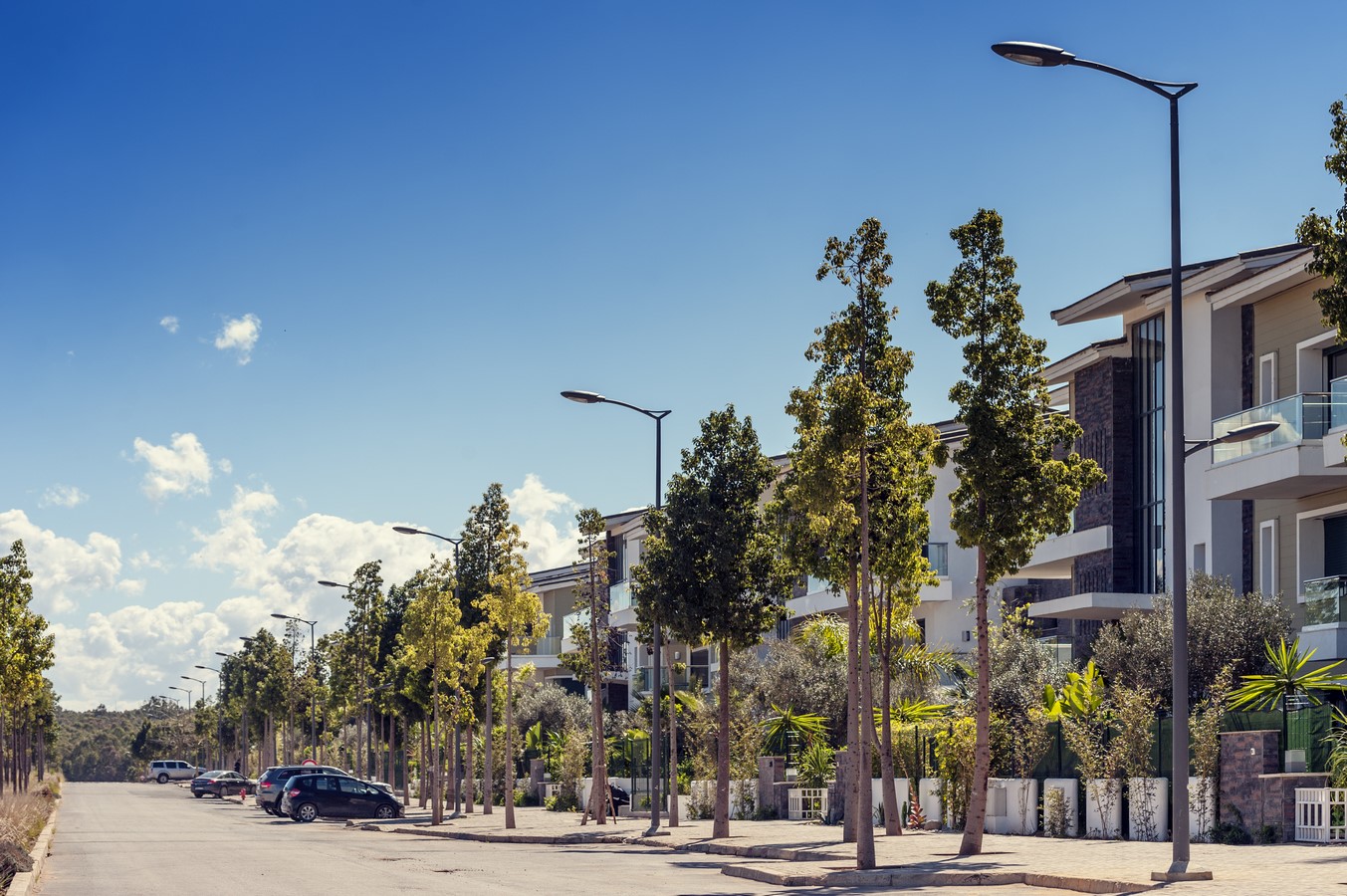 Photos du projet: Green Town - 2016 - FURYO+FLO