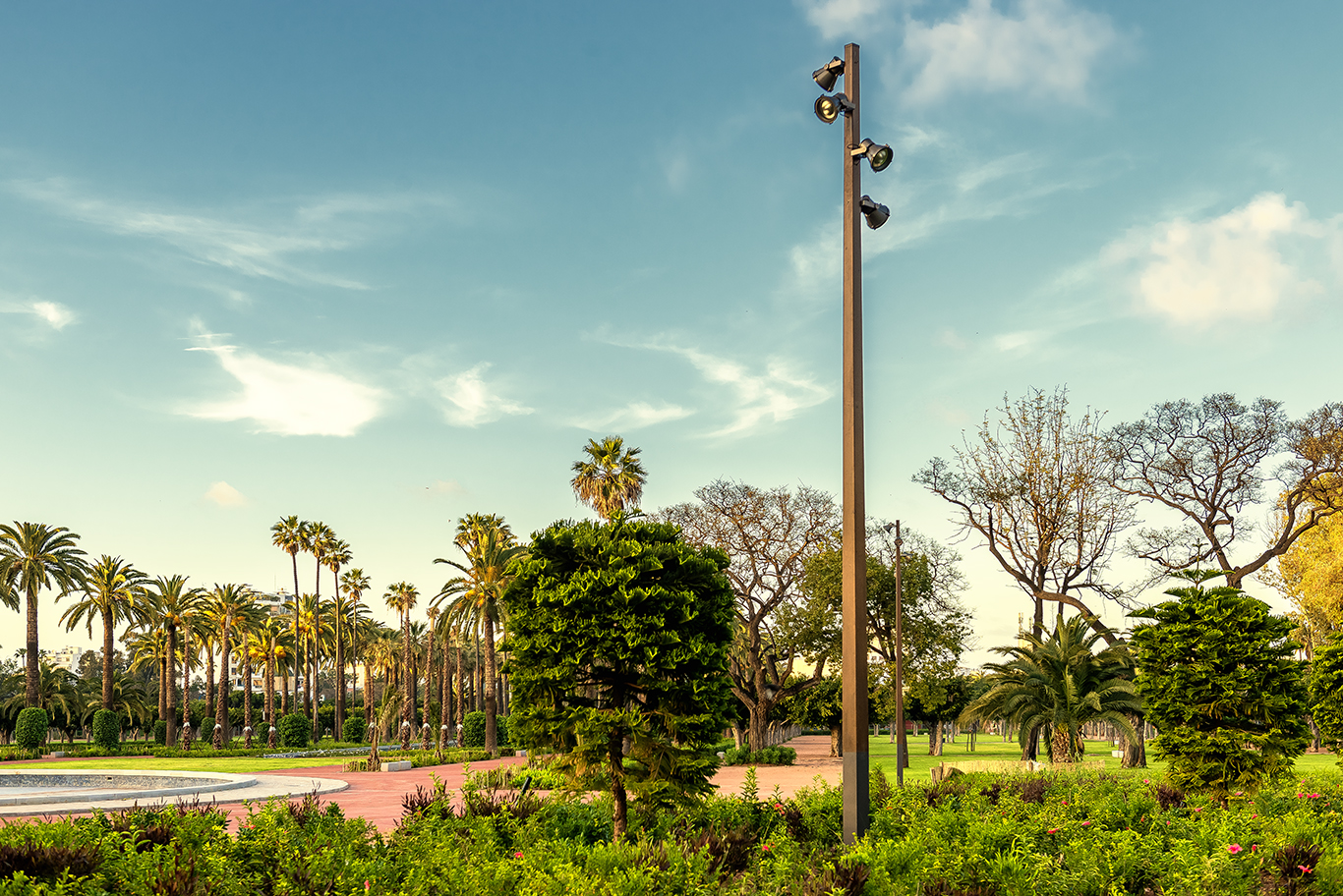 Photos du projet: PARC DE LA LIGUE ARABE 2018