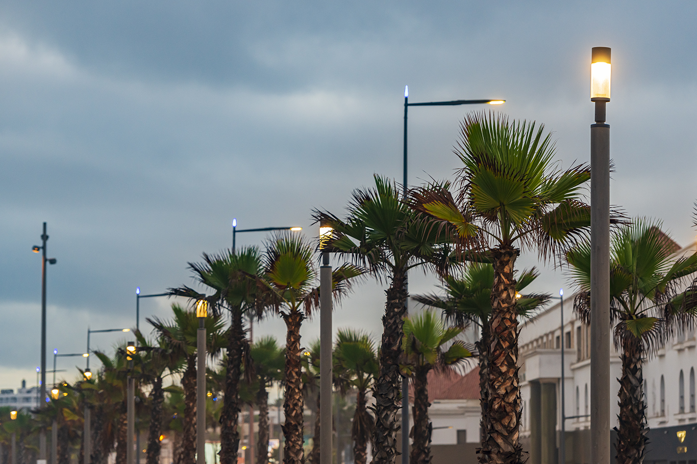 Photos du projet: Corniche Ain Diab