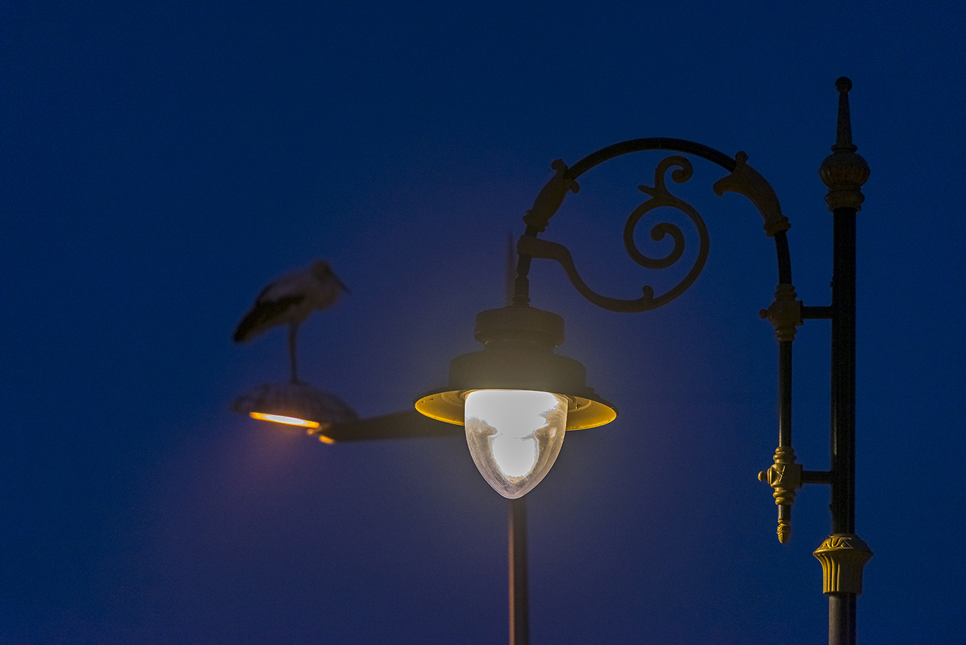 Photos du projet: 23 Juillet 2019 Axes Principales